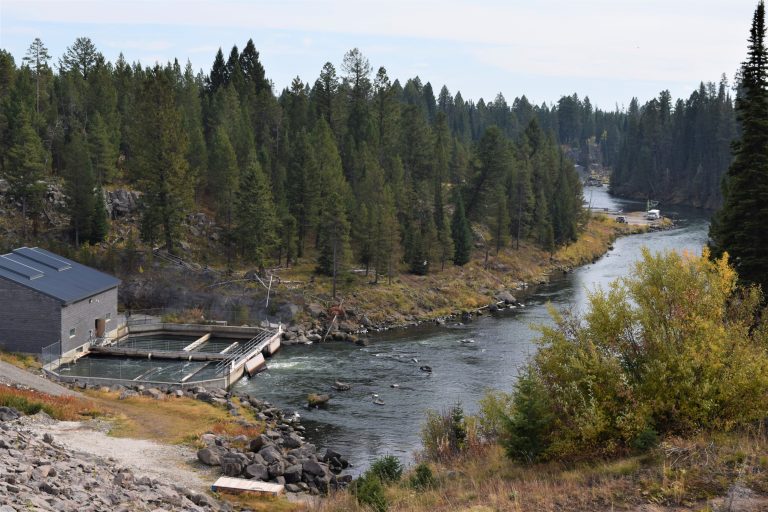 Henry's Fork Watershed