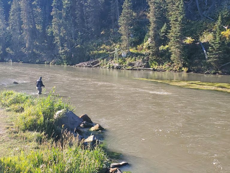 man fly fishing