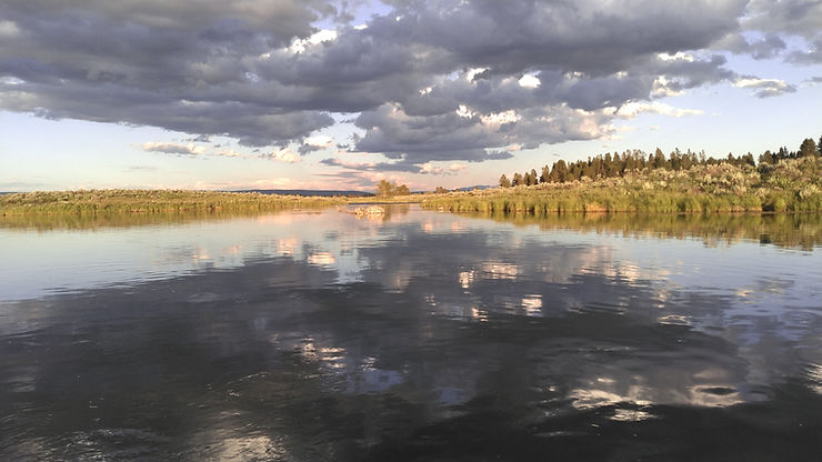Lake surrounded by trees
