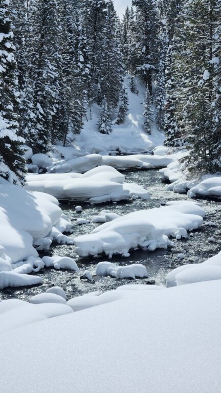 Snow covered stream