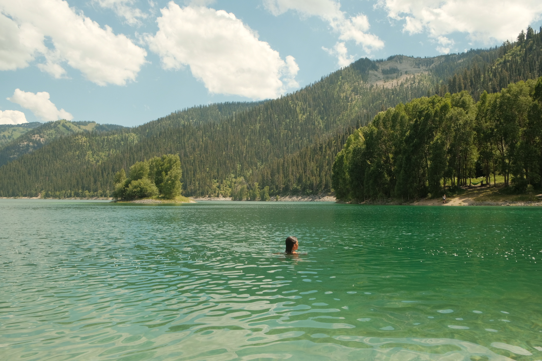 Woman swimming in water near trees