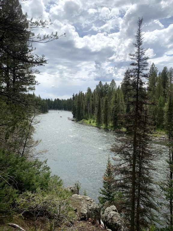 Snake river surrounded by trees
