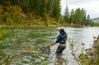 An angler standing knee-deep in the greenish Henry's Fork River