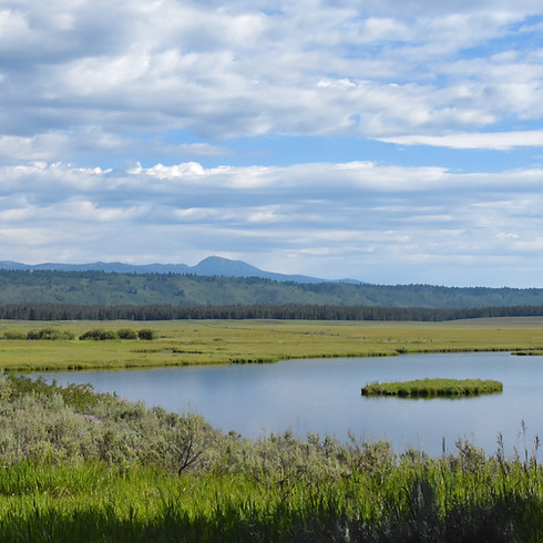 view of lake