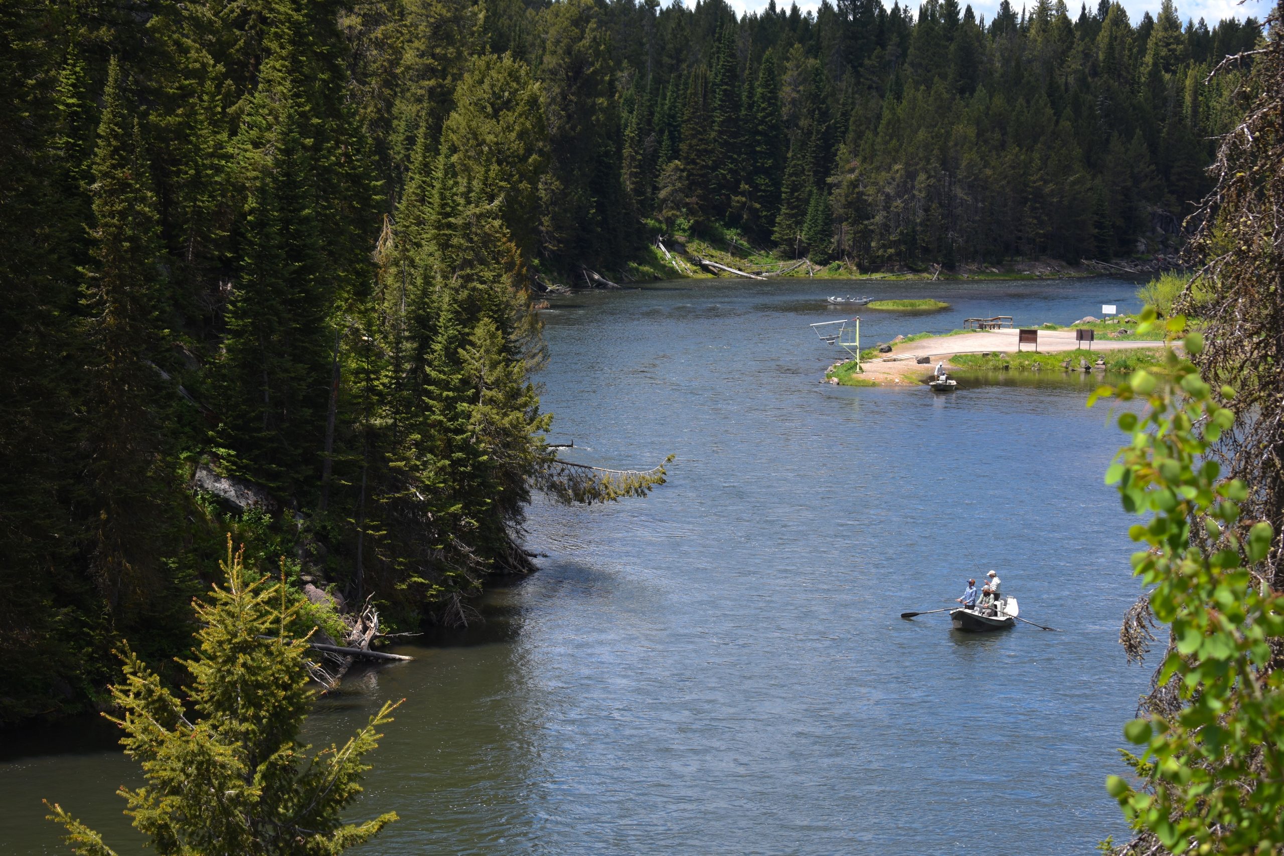 Drift boat with anglers rowing downriver surrounded by tall trees