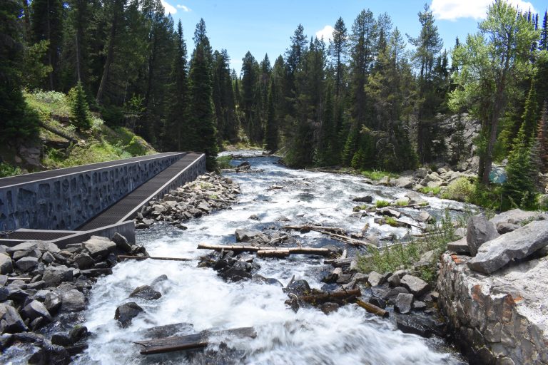 Fish ladder at the Buffalo River hydroelectric facility