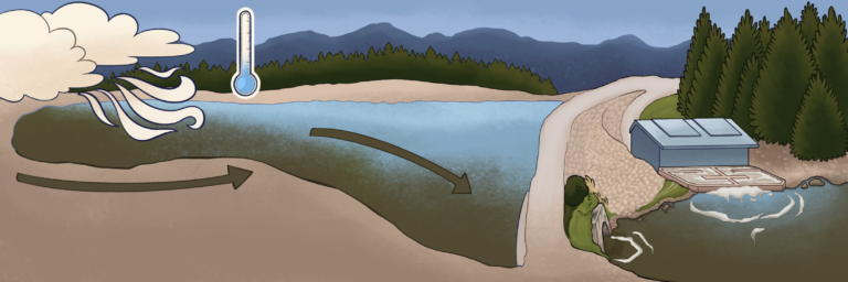 An illustration depicting a density current in Island Park Reservoir. Wind and cold temperatures stir up bottom sediment in the reservoir's west end. That sediment moves downhill to the dam and exits into the river via the dam gates.