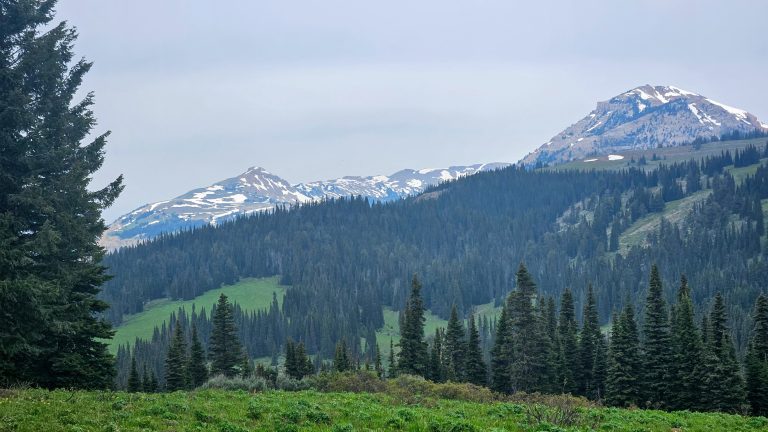 View of the mountains