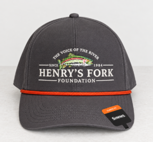 Simms HFF Captain's Cap - Slate