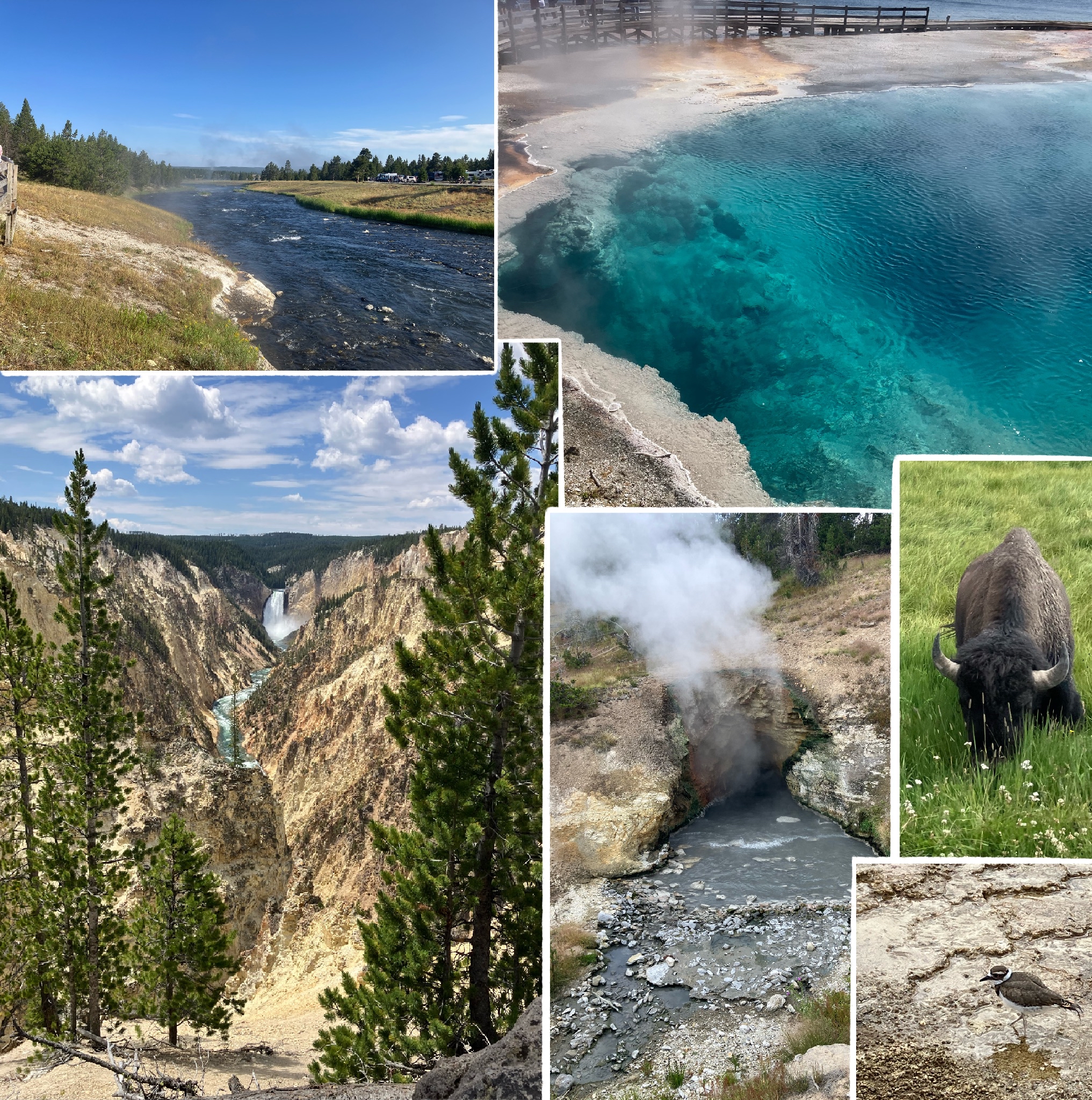 Assorted images of Yellowstone National Park