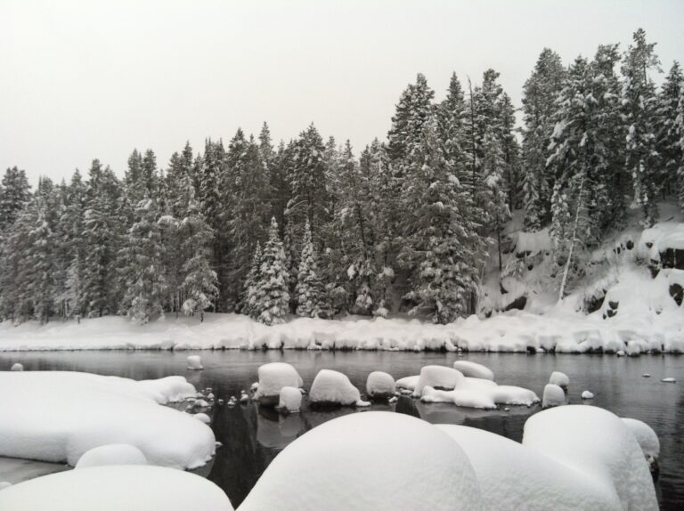 A river surrounded by snow. There are rocks in the foreground pillowy with snow. The river flows from right to left in the middle. On the other side sits needled trees and a snow covered bank. The photo almost appears to be black and white.