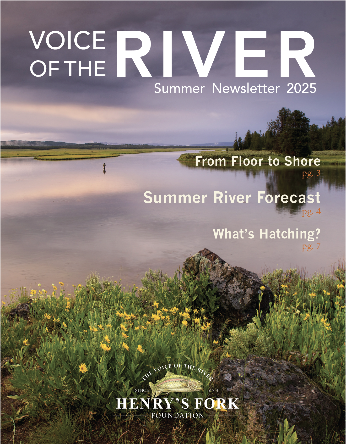 Voice of the River Newsletter Cover