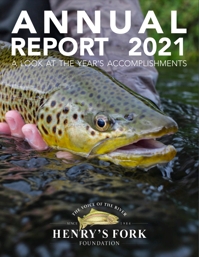Annual Report 2021
