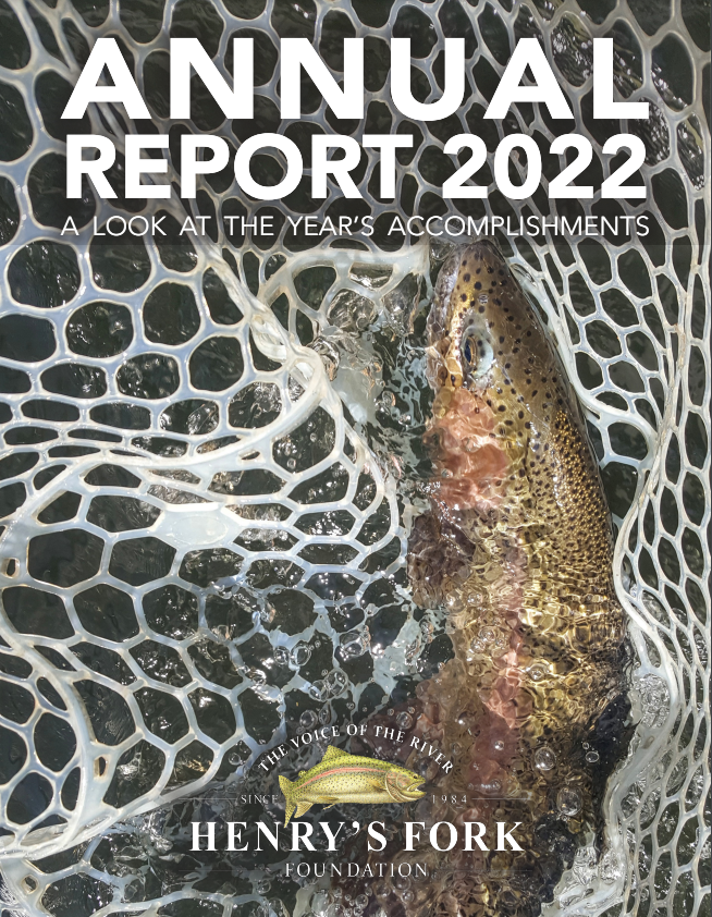 Annual Report 2022