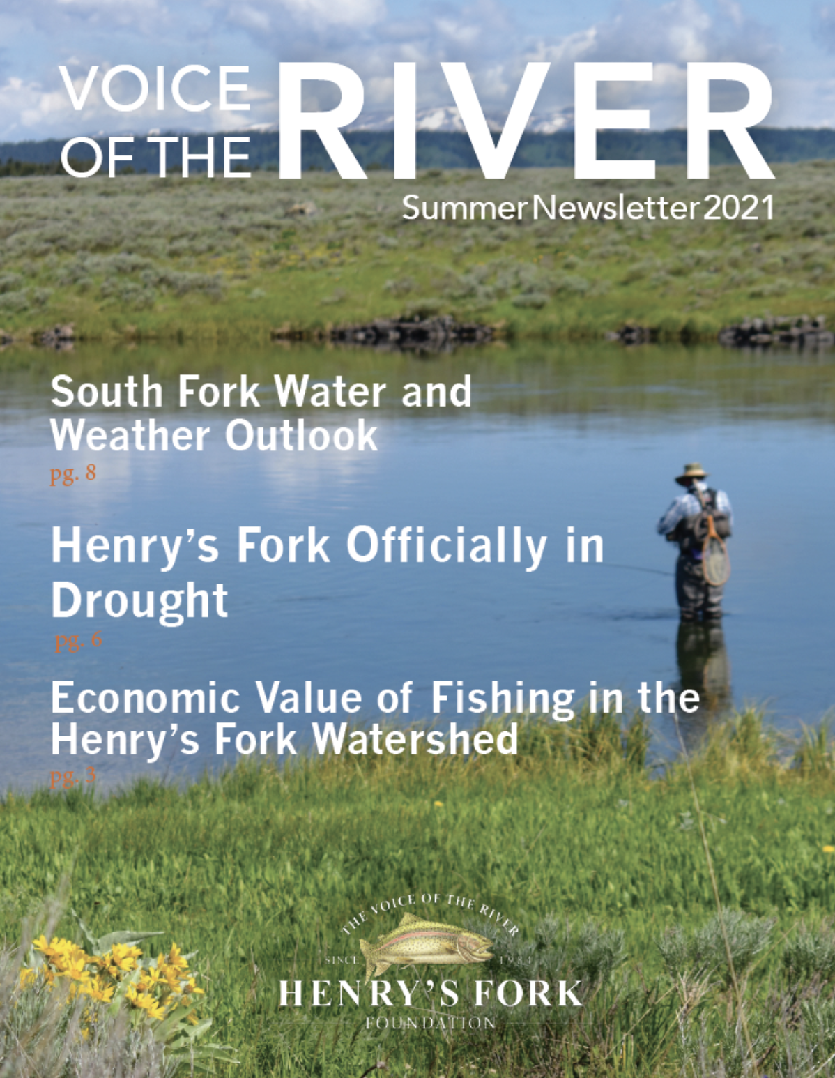 Voice of the River summer Newsletter