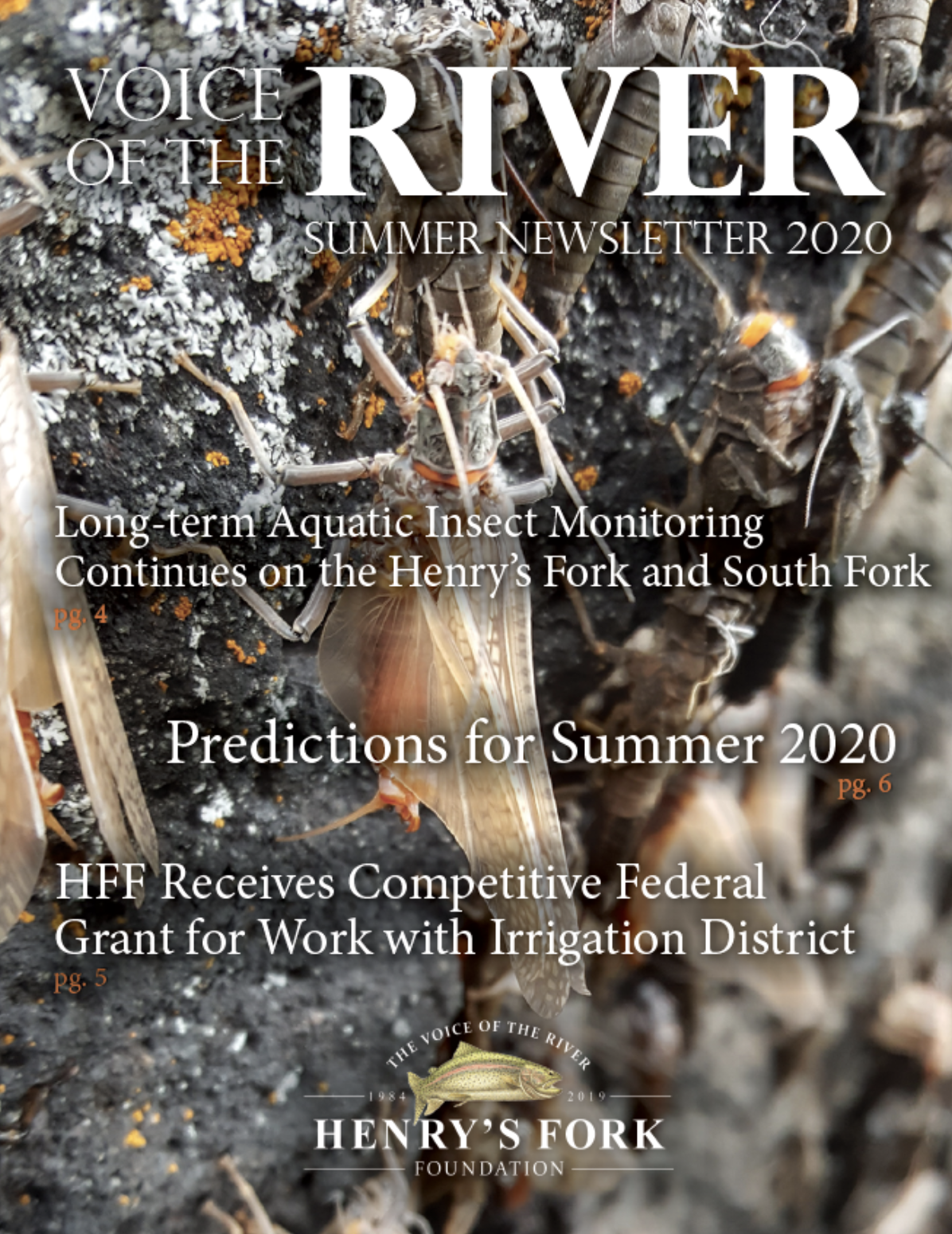Voice of the River newsletter