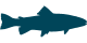 Fish decal