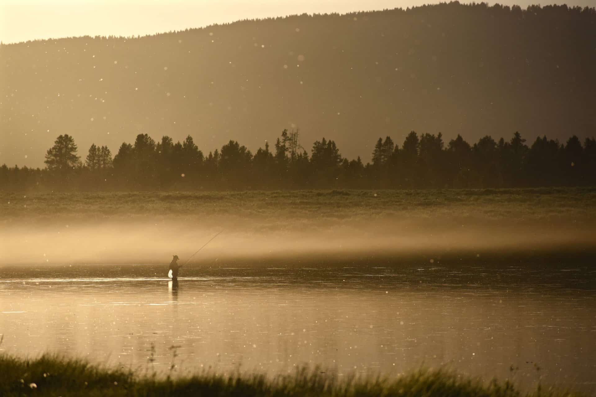 Man fly fishing in the river