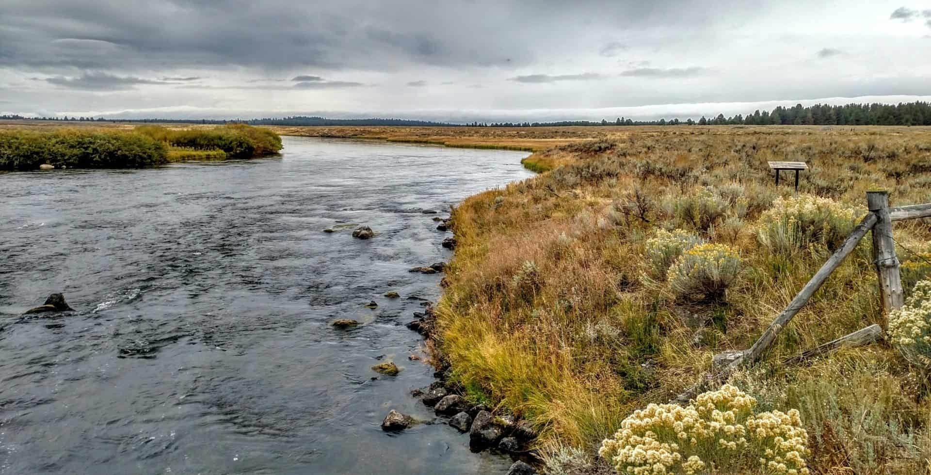 River with grassy bank