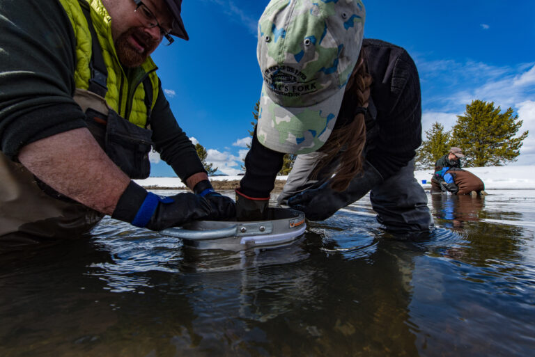 taking water samples