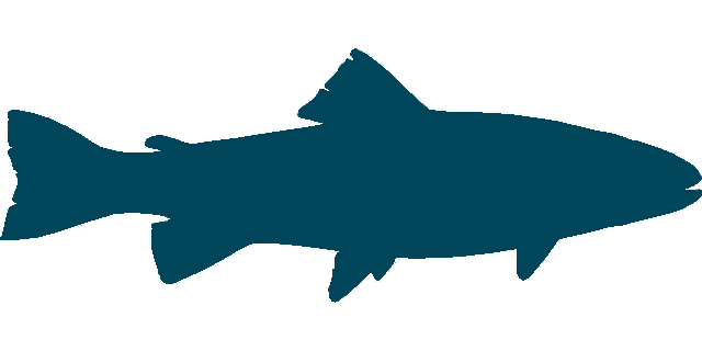 Fish Icon